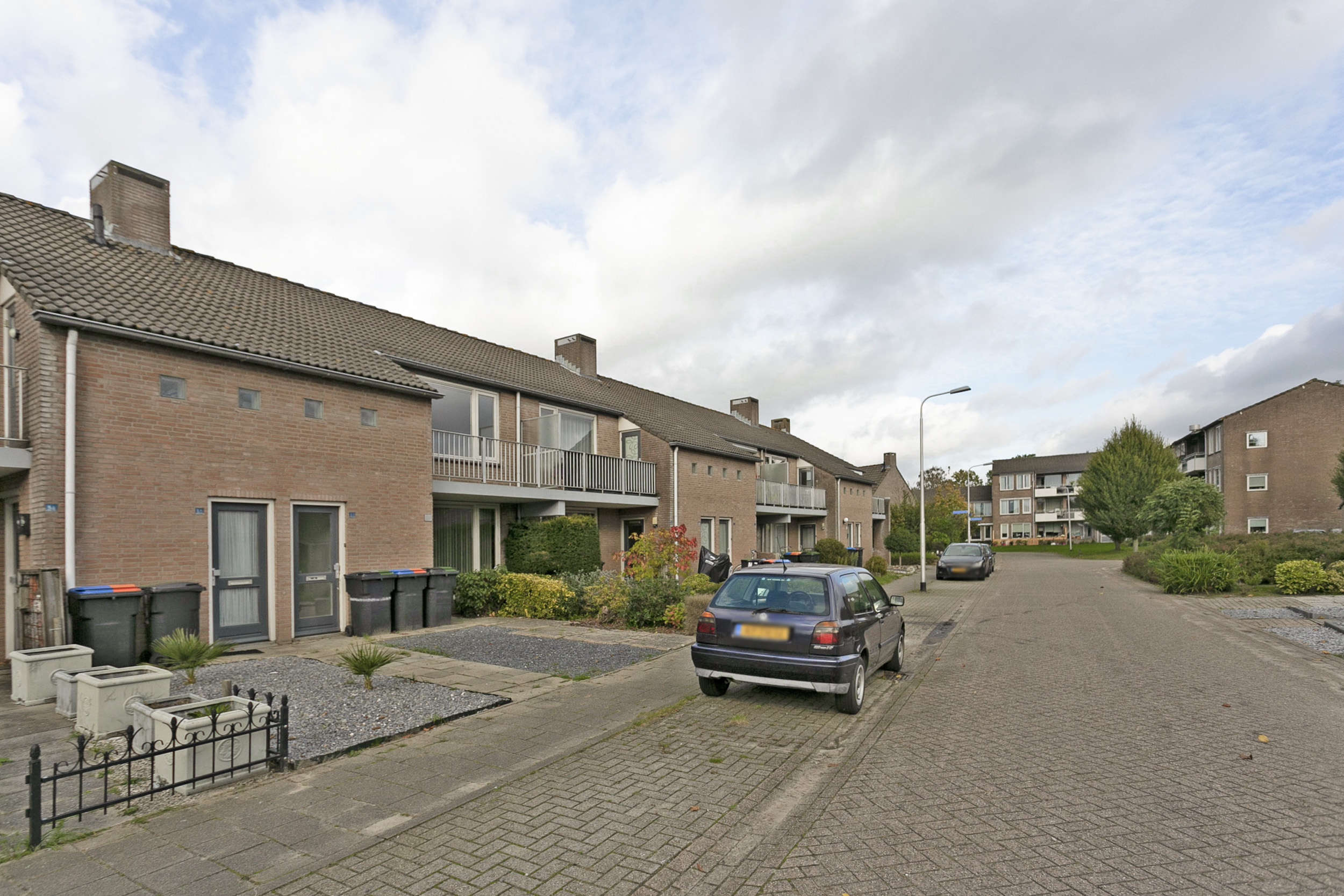 Goudsbloem 30