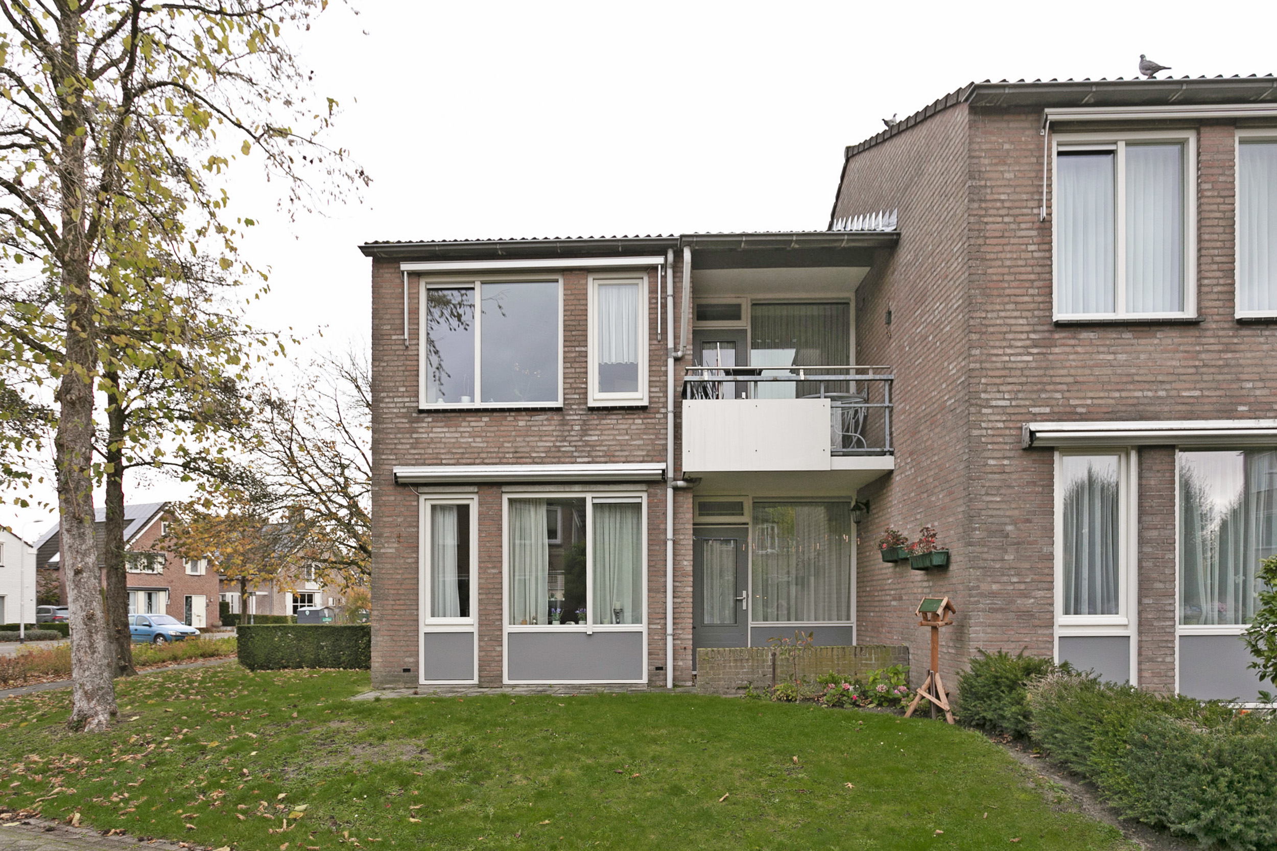 Goudsbloem 29