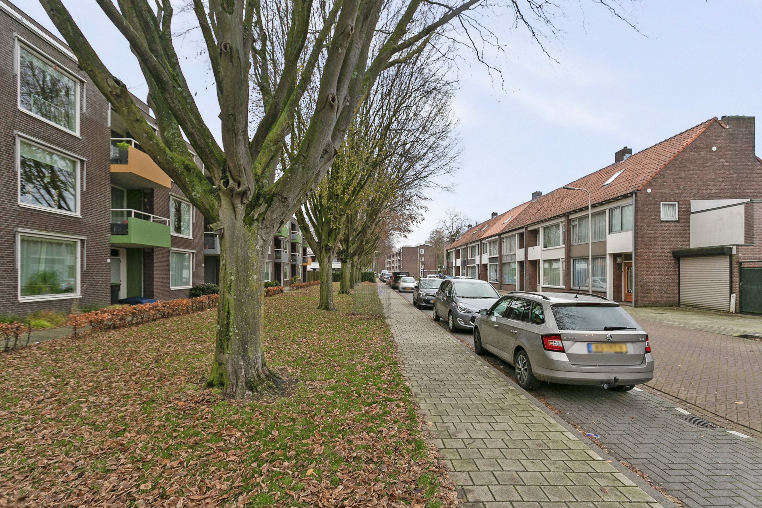 Albertus Magnusstraat 85