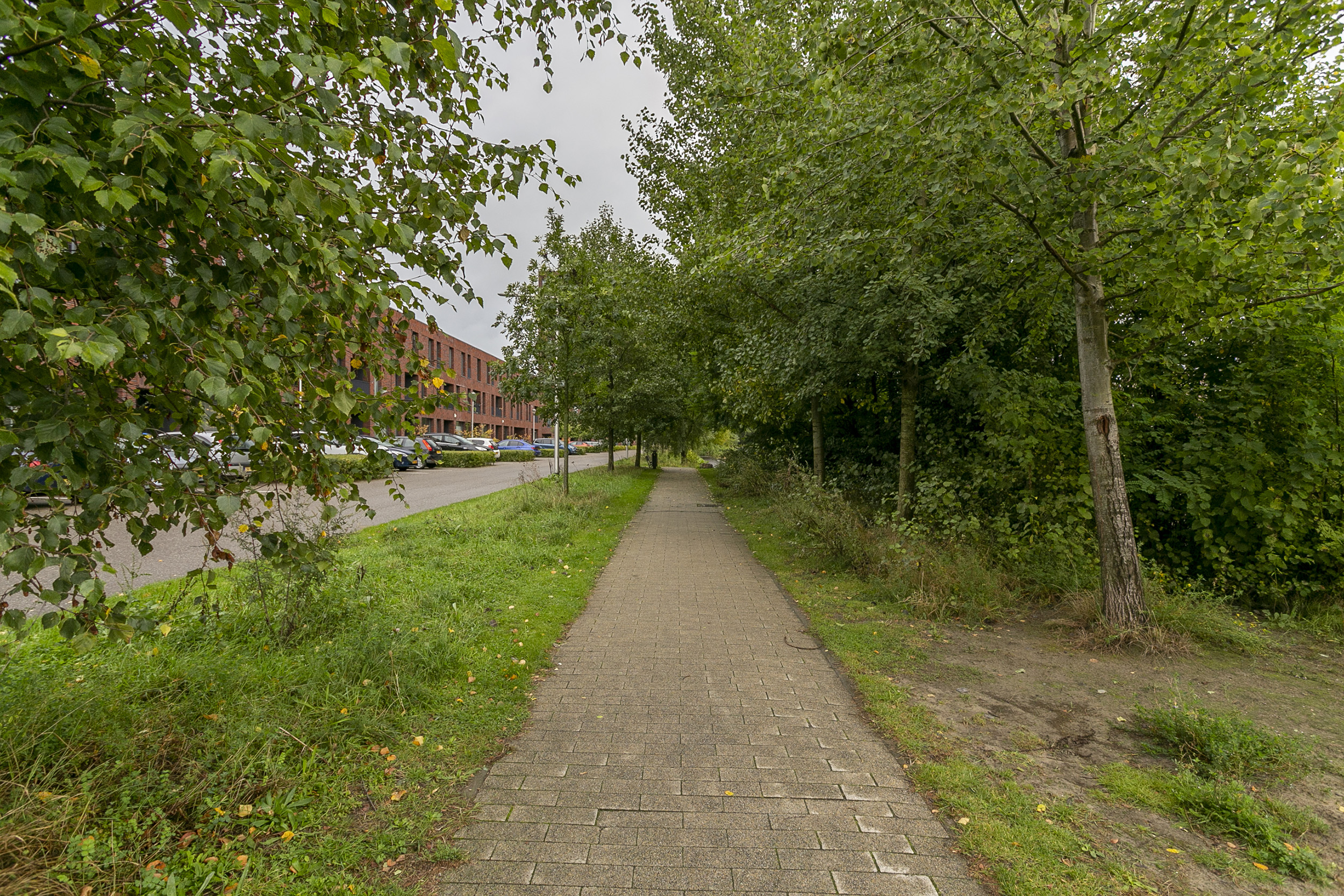 De Werf 145