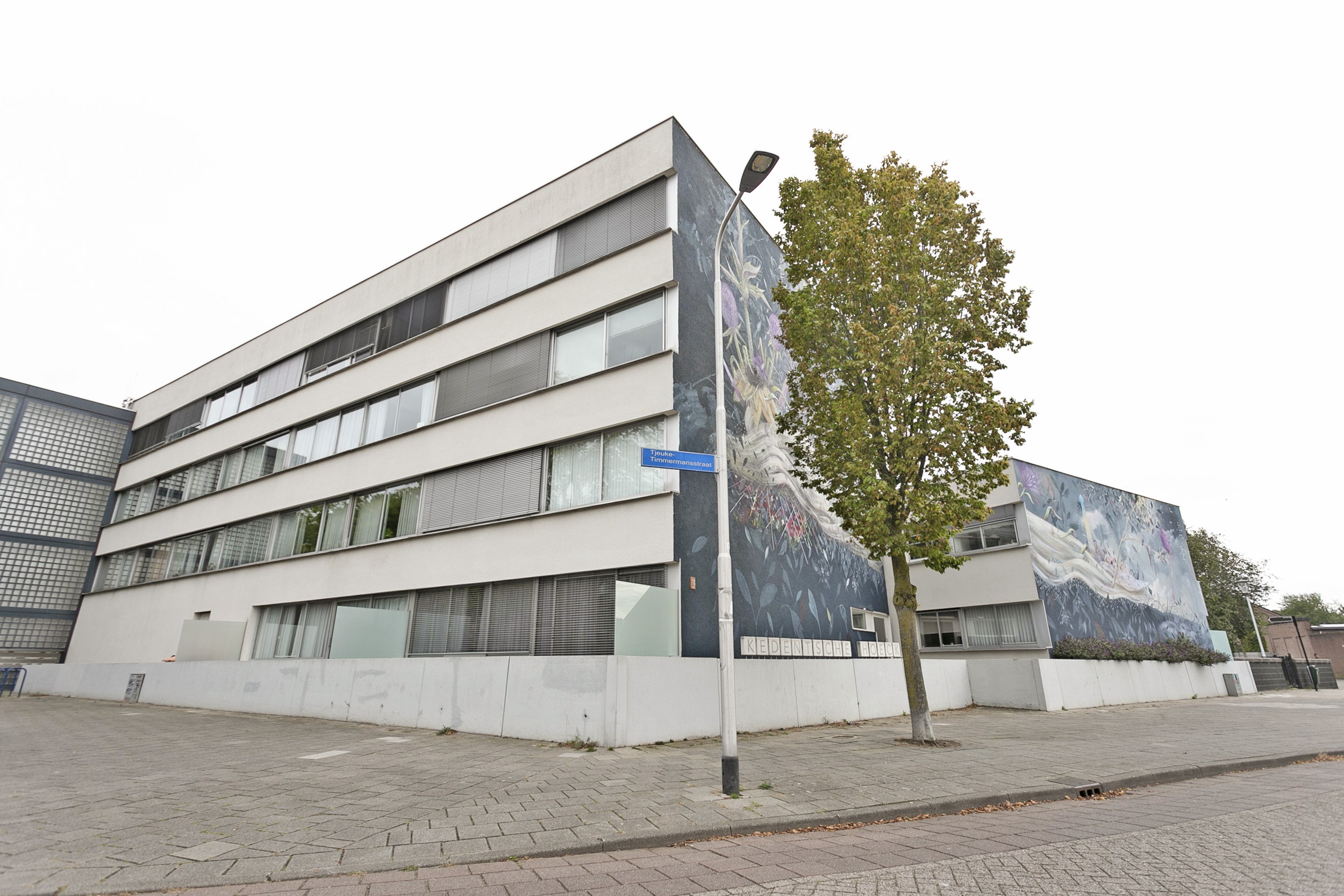 Tjeuke Timmermansstraat 52, 5041 EL Tilburg, Nederland