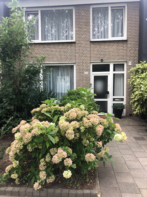 Brahmsstraat 120, 5011 DD Tilburg, Nederland