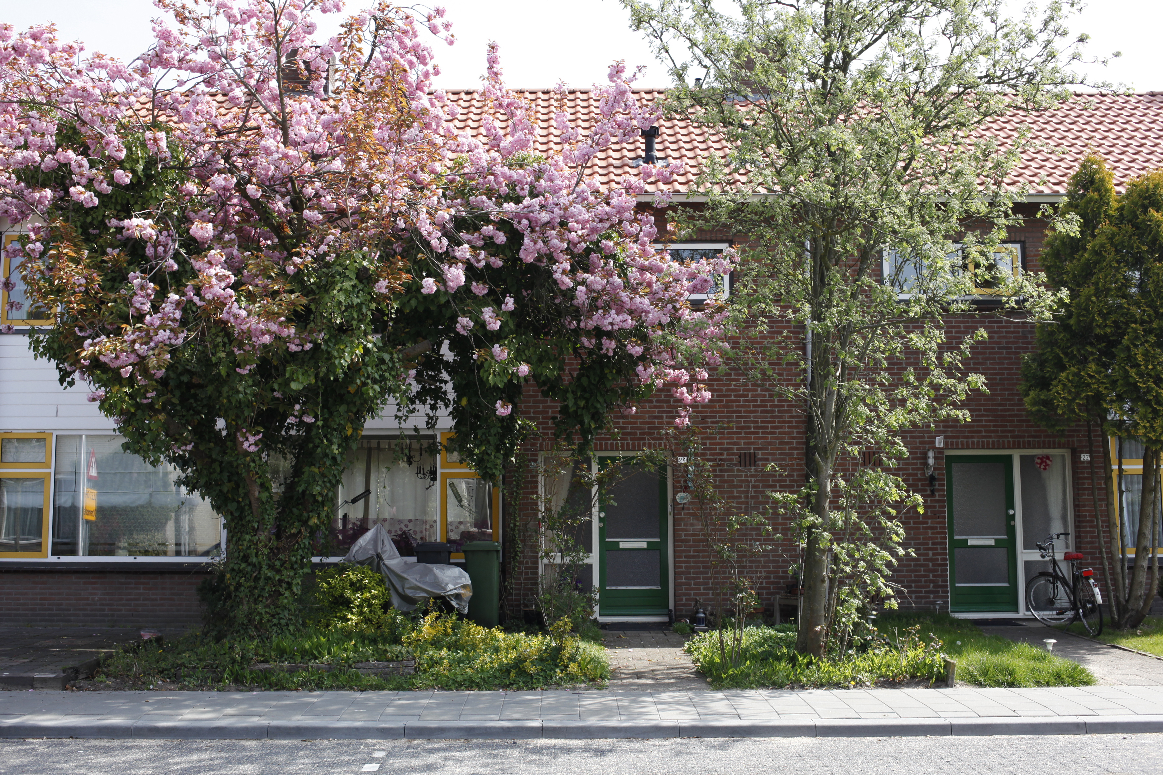 Monseigneur Nolensstraat , 5121 AM Rijen, Nederland