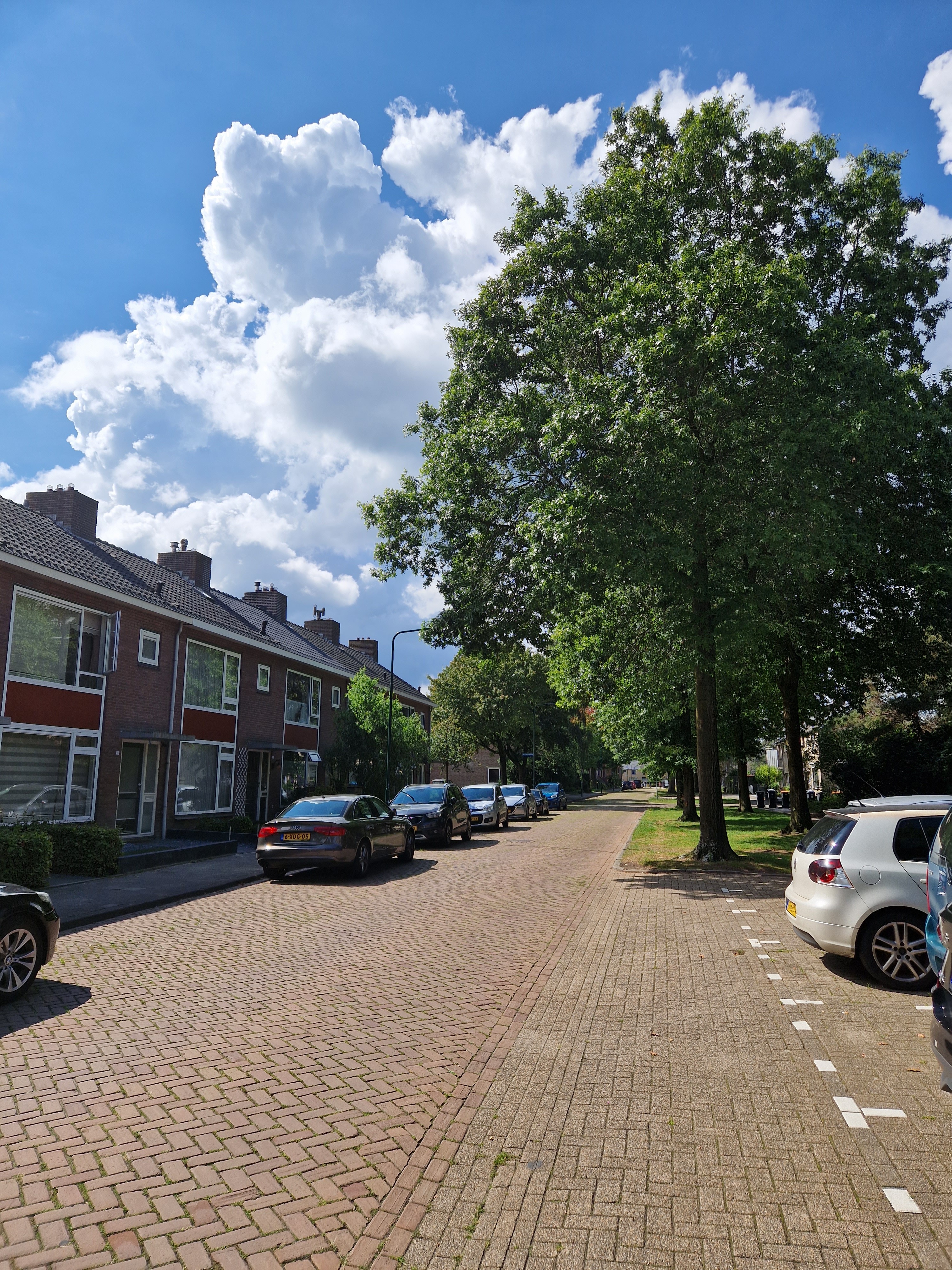 Monseigneur Schaepmanstraat 15