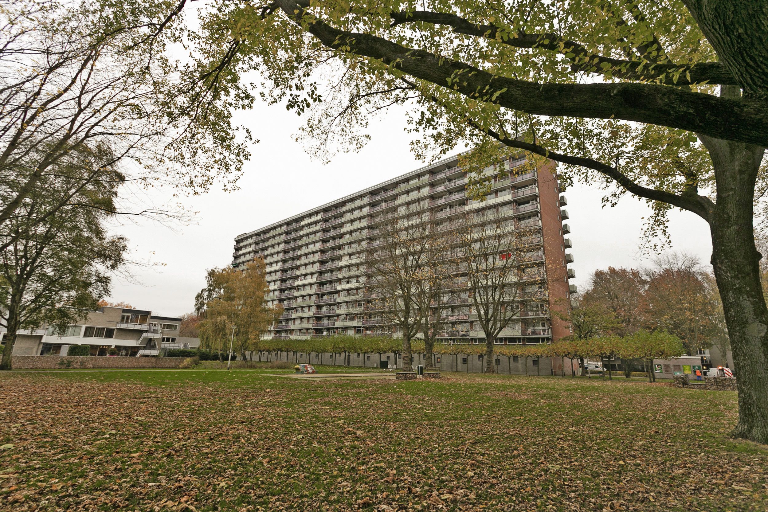 Componistenlaan 313, 5049 HE Tilburg, Nederland