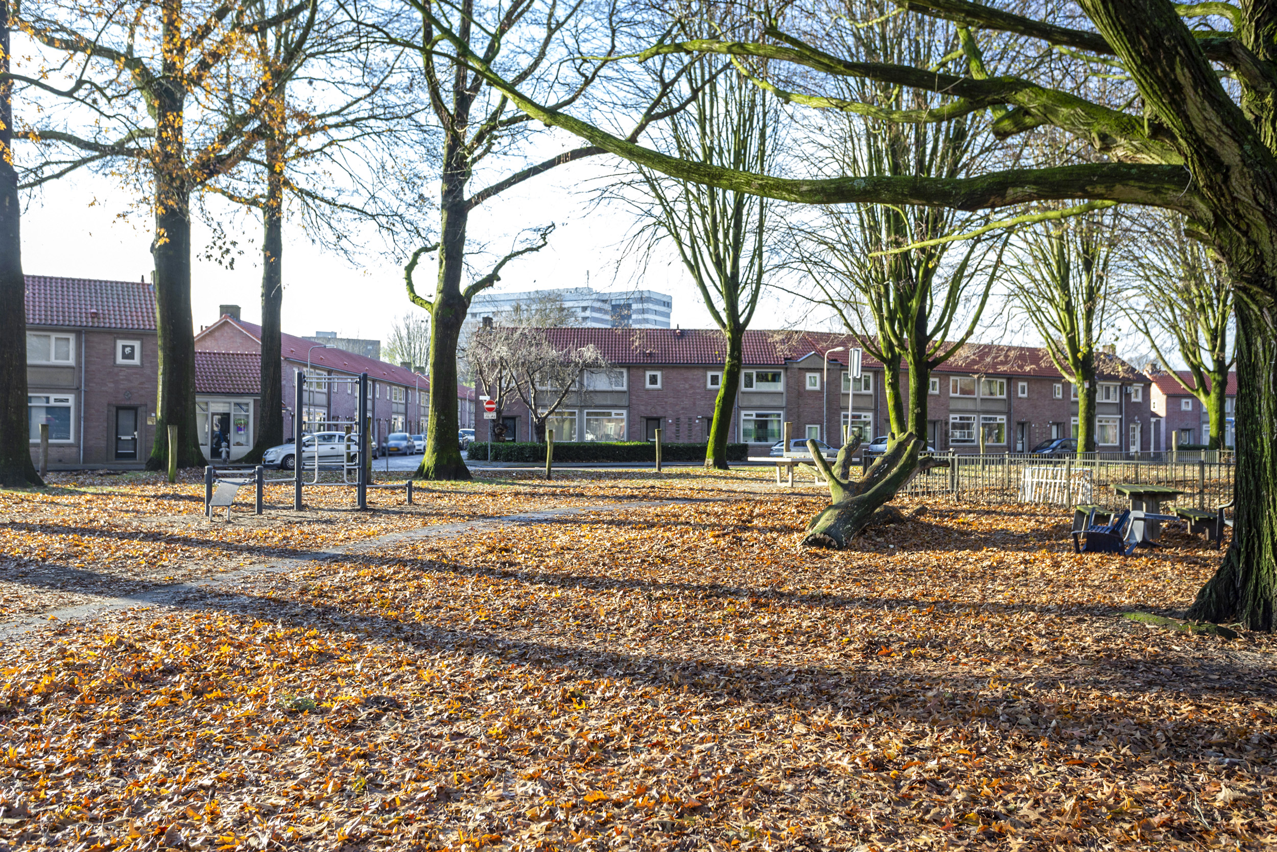 Wim Berkelmansstraat 25