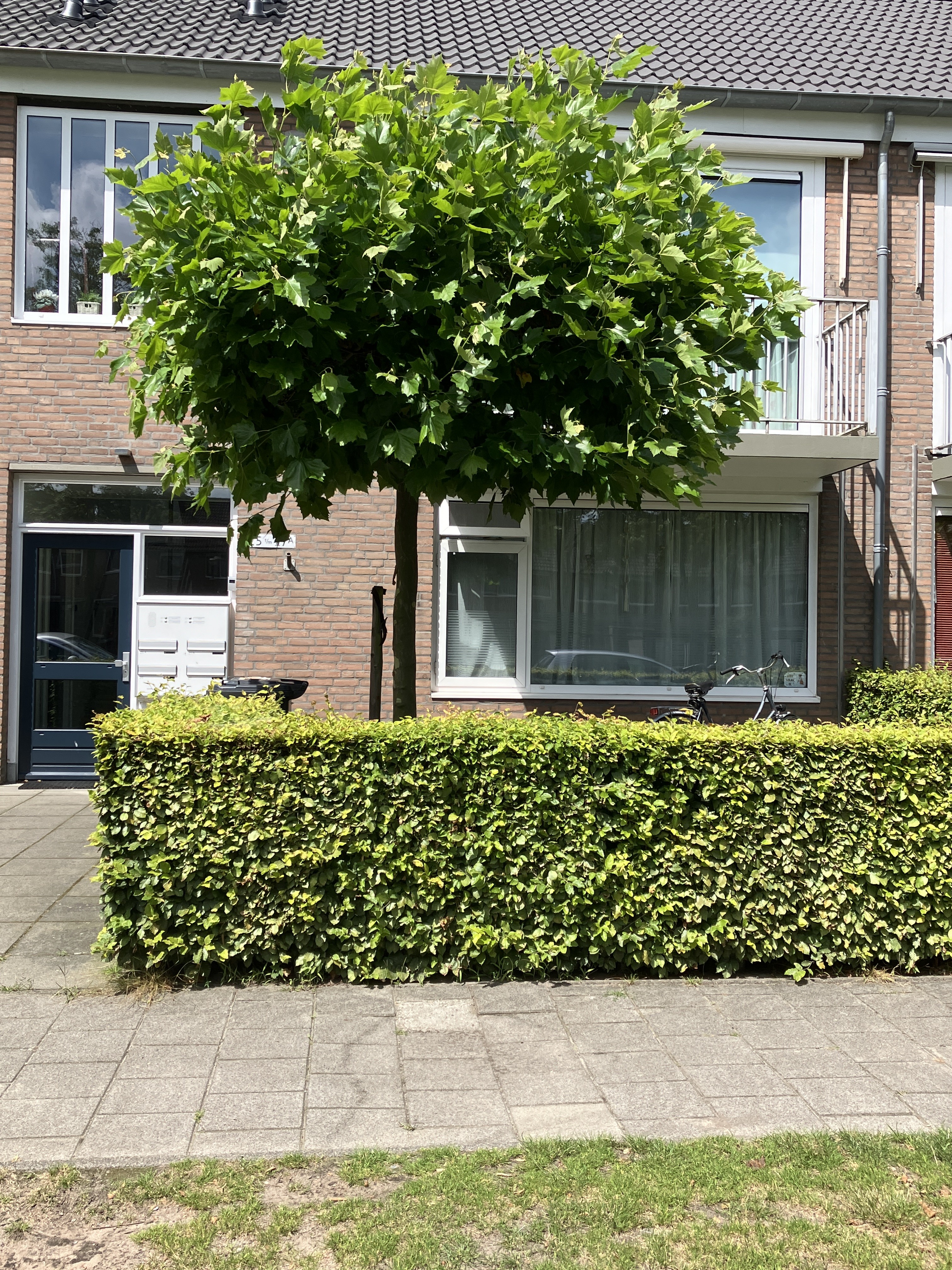 Woning: Houtelaar 27 in Rijen - 46m²